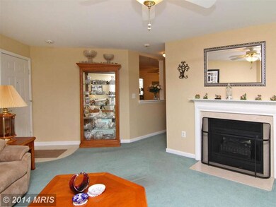 6500 Ridenour Way E unit 3D, Sykesville, MD 21784 - photo 3