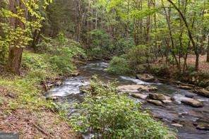 0 Chastain Ct unit 10648032, Marble Hill, GA 30148 - photo 2