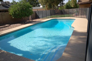 Huge diving pool