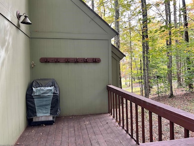 117 Hibernation Way, Davis, WV 26260 - photo 6