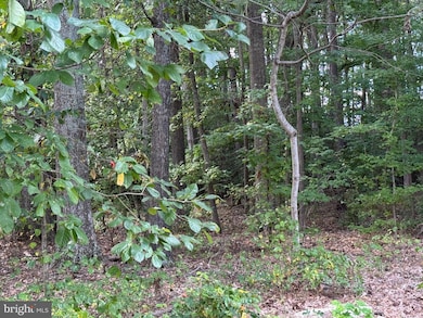 0 Long Leaf Ln unit MDSM2026514, Leonardtown, MD 20650 - photo 3