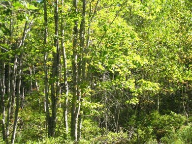 Land/Lot.