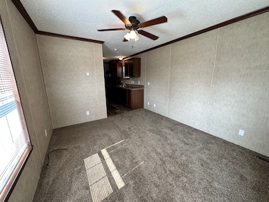 70 Arizona unit 70, Belleville, MI 48111 - photo 4