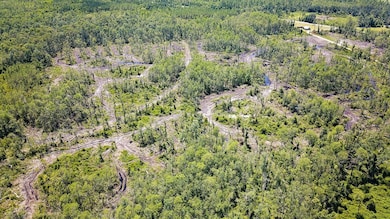 1217 SW Caleb Ave, Madison, FL 32340 - photo 7