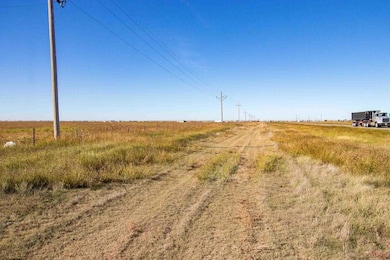 0 Highway 60, Panhandle, TX 79068 - photo 5