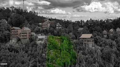DJI_0889(BOUNDARY)