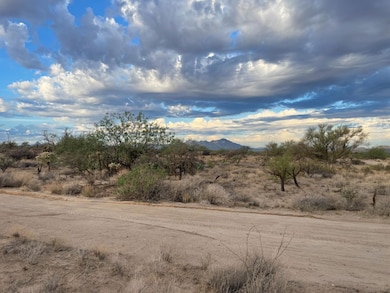 13015 W Gunsmoke Rd, Tucson, AZ 85736 - photo 7
