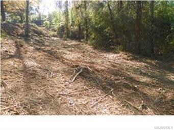 Trails for four wheeling!