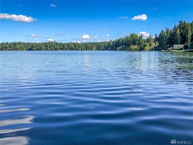 18543 Surcingle Ct SE, Yelm, WA 98597 - photo 4