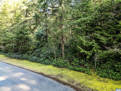 9999 Hunt Rd, Port Angeles, WA 98363 - photo 5