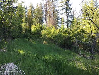 0 Fly Catcher Lts 13 & 14 unit 25-3423, St. Maries, ID 83861 - photo 7