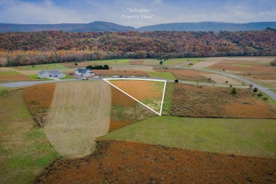 0 Pinnacle Point Ln, Dunlap, TN 37327 - photo 5