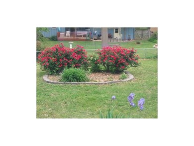 Flowers are blooming!