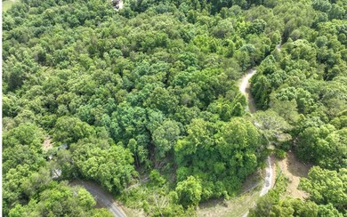 LT 42 Mountain Rivers Ln, Mineral Bluff, GA 30559 - photo 6