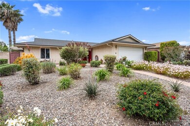 Front Plants Street View