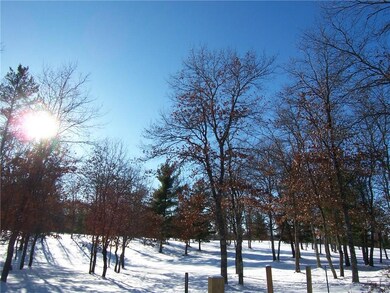 Lot 5 Minerva Rd, Danbury, WI 54830 - photo 3