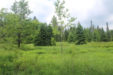 0 Cobb Rd unit 5046229, Walden, VT 05873 - photo 2