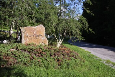 400 Tree House Trail, Dunlap, TN 37327 - photo 4