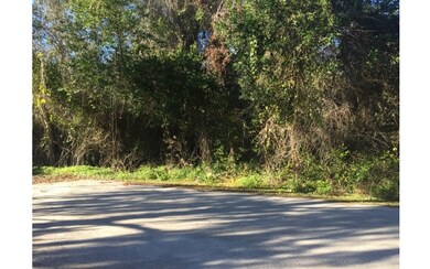 TBD Harpers Place, Lake City, FL 32055 - photo 3