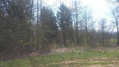 00 State Route 54 unit LOT 2, Watsontown, PA 17777 - photo 3