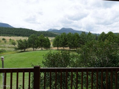 Covered West Deck Views