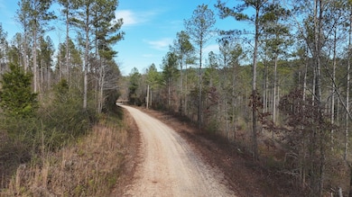 County Road 176, Piedmont, AL 36272 - photo 6