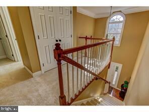 53 Grubb Rd, Malvern, PA 19355 - photo 4