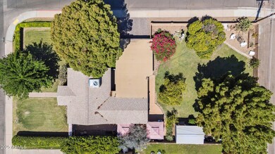 Landscape took decades to cultivate