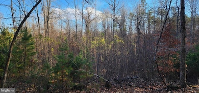 0 Buggy Ln unit VAMA2002548, Uno, VA 22738 - photo 7