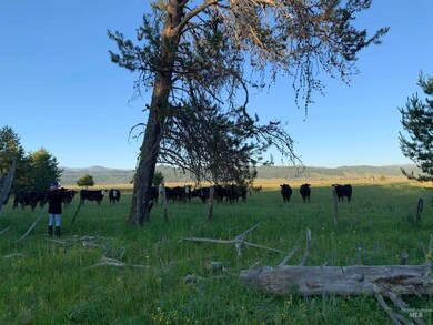 13321 Idaho 55, McCall, ID 83638 - photo 7