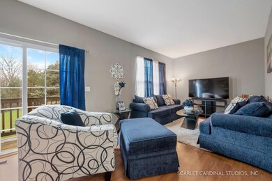 542 Declaration Ln unit 1004, Aurora, IL 60502 - photo 2