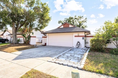 10815 Venice Cir, Tampa, FL 33635 - photo 2