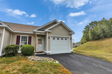 28 Owens Dr unit 101, Swanzey, NH 03446 - photo 2
