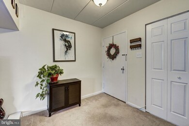 124 Roberts Ln unit 200, Alexandria, VA 22314 - photo 6