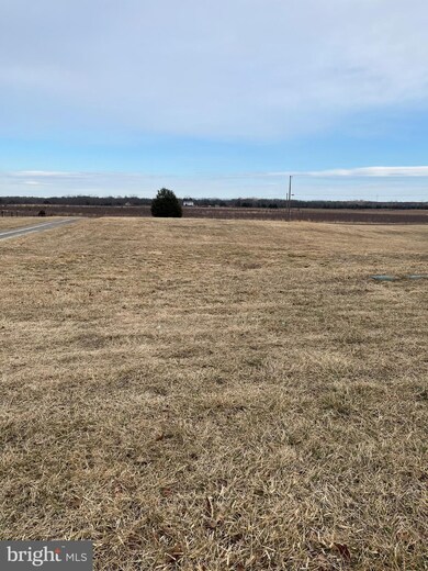 331 Box Factory Rd, Summit Point, WV 25446 - photo 5