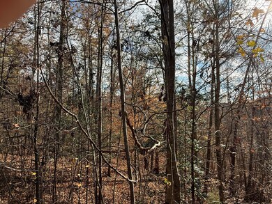 0 Bear Track Way unit 709747, Del Rio, TN 37727 - photo 5