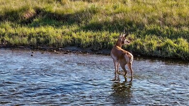 9173 Highway 24, Hartsel, CO 80449 - photo 3