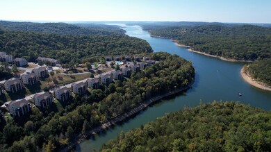 33 Blue Bird Way unit 1, Branson, MO 65616 - photo 3