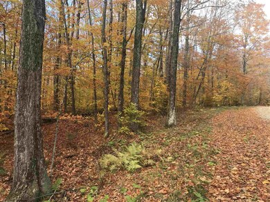 105 Slawson Rd, Weston, VT 05161 - photo 6