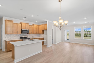 Kitchen with light countertops, a sink, backsplash, light wood finished floors, and appliances with stainless steel finishes