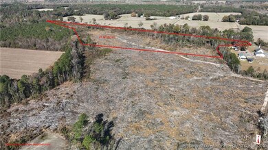 0 Lot 5 Barnesville Church Rd, Orrum, NC 28369 - photo 7