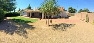 Current Backyard 2