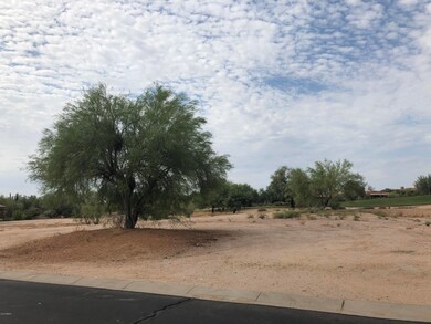 Large tree on the property