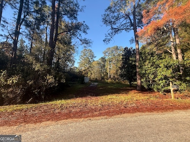 201 Waters Grove Rd, Sylvania, GA 30467 - photo 5