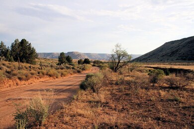 59.39 Acs Dalton Wash Rd, Virgin, UT 84779 - photo 4