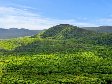 0 Meadow Rd unit Lot 50 5000428, Newbury, NH 03255 - photo 5