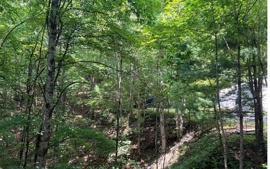 Additional View