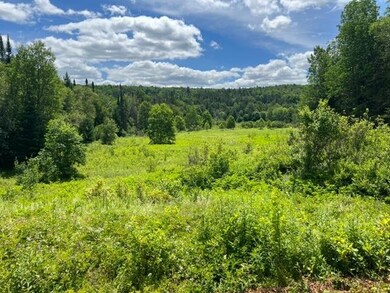 0 Rt 14 unit 4918518, Albany, VT 05820 - photo 7