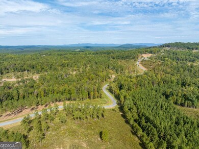 Lot 299 Twisted Oak Rd, Talking Rock, GA 30175 - photo 3