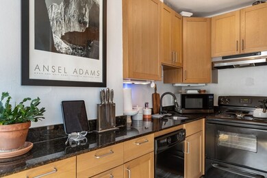 182 W Brookline St unit 4, Boston, MA 02118 - photo 6